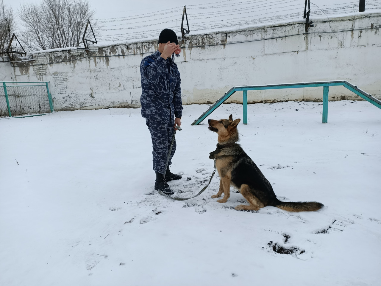 img20201028113118_p55454