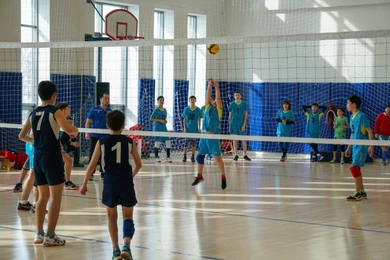 Система «Артспорт»: виды спорта и кружки сократят, возраст детей для занятий изменят 