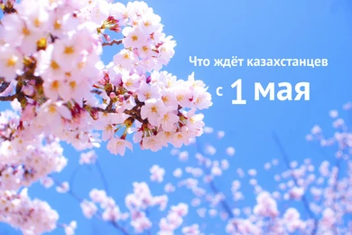 Что изменится в Казахстане с 1 мая 2020 года 