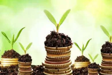 Как привлечь инвестиции