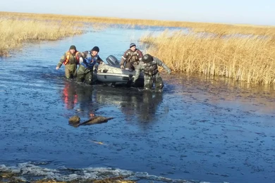 В Акмолинской области после двухнедельных поисков нашли тело утонувшего рыбака 