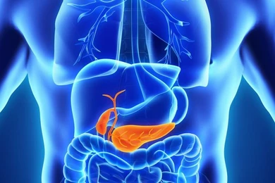 Ученые создали искусственную поджелудочную железу 