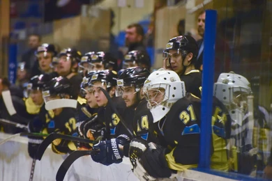 В хоккейном Казахстане не могут помочь ХК Темиртау - команда идет "на дно" 