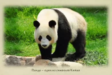 Төрге шығаратын туризм