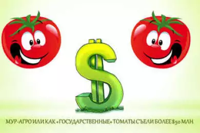 «Государственные» томаты съели $50 млн