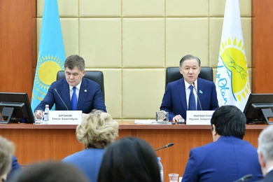 Нигматулин: решены дискуссионные вопросы проекта Кодекса о здоровье 