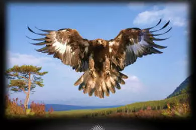 Поверь в свой полет и Вечное синее небо 