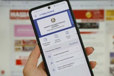 «Не такое уж удобное»: в Мажилисе критиковали мобильное приложение для налогоплательщиков 