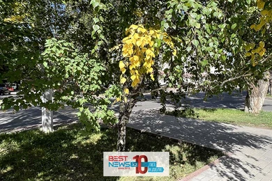 Сентябрь в Казахстане начнется дождями и жарой 