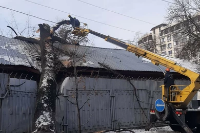 В Алматы после снегопада деревья упали на авто и заборы 
