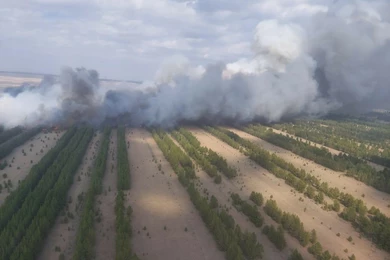 Пожар в резервате «Ертіс орманы» в Павлодарской области локализован 