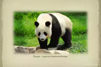 Төрге шығаратын туризм