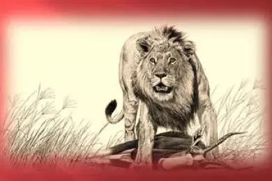 Тұран арыстаны қазақ даласында