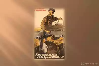 Обратная сторона целины