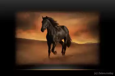 Доместикация лошади и технологическая революция