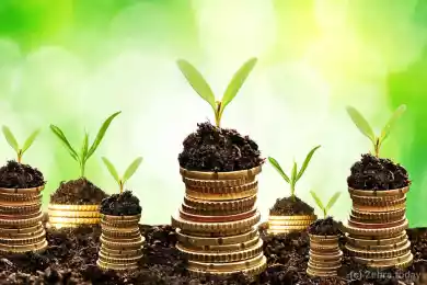 Как привлечь инвестиции