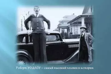 Роберт УОДЛОУ