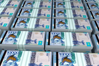 Мажилис разрешил не платить налог по дивидендам резидентов от ценных бумаг 