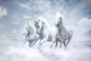 Казахстан как либеральный полюс в Евразийском экономическом союзе