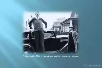 Роберт УОДЛОУ