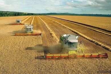 Мамин: «Казахстан имеет возможности стать мировым продуктовым хабом» 