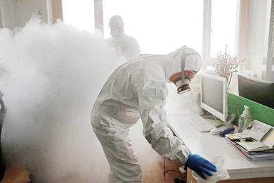 Нур-Султан наводит крысоту – в столице обработают 25 тысяч домов 