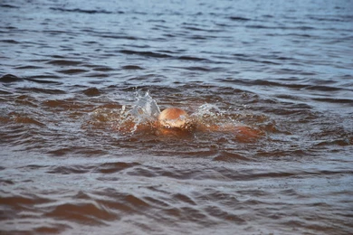 В Нур-Султане утонул мальчик – купался в запрещенном месте 
