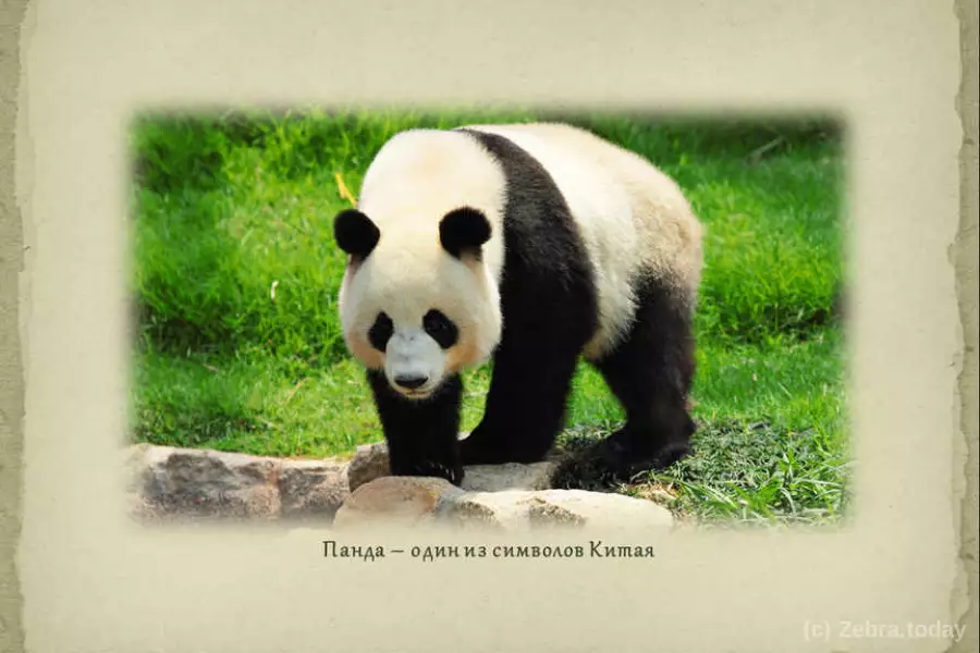 Төрге шығаратын туризм