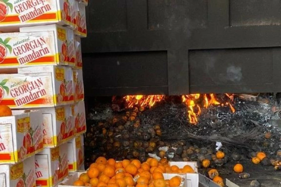 В Нур-Султане сожгли тонну вредных мандаринов 