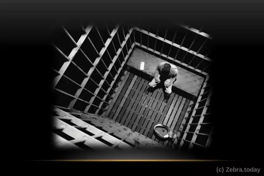 Иллюзия свободы