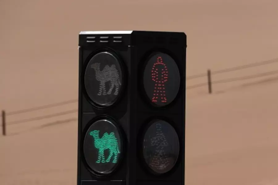 В Китае появился светофор для верблюдов 