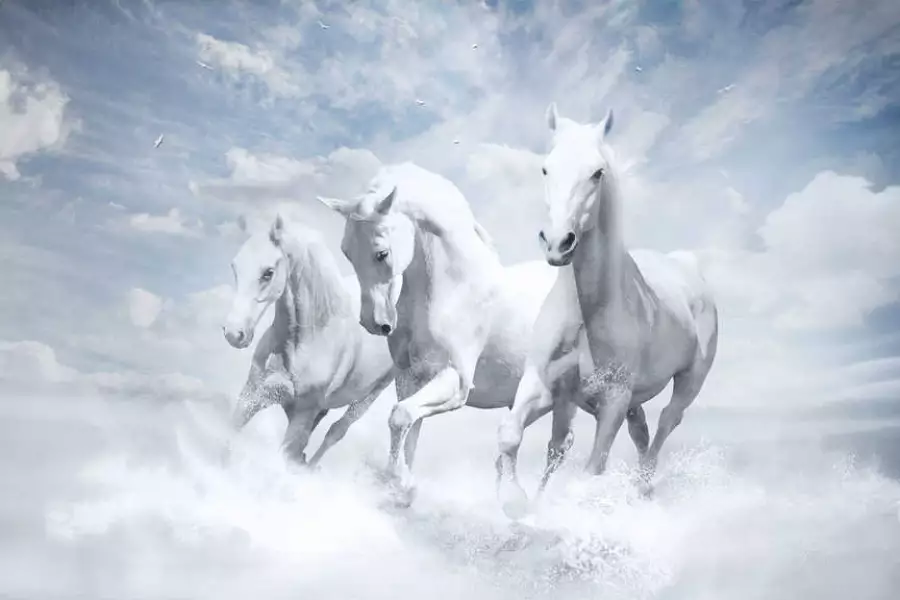 Казахстан как либеральный полюс в Евразийском экономическом союзе