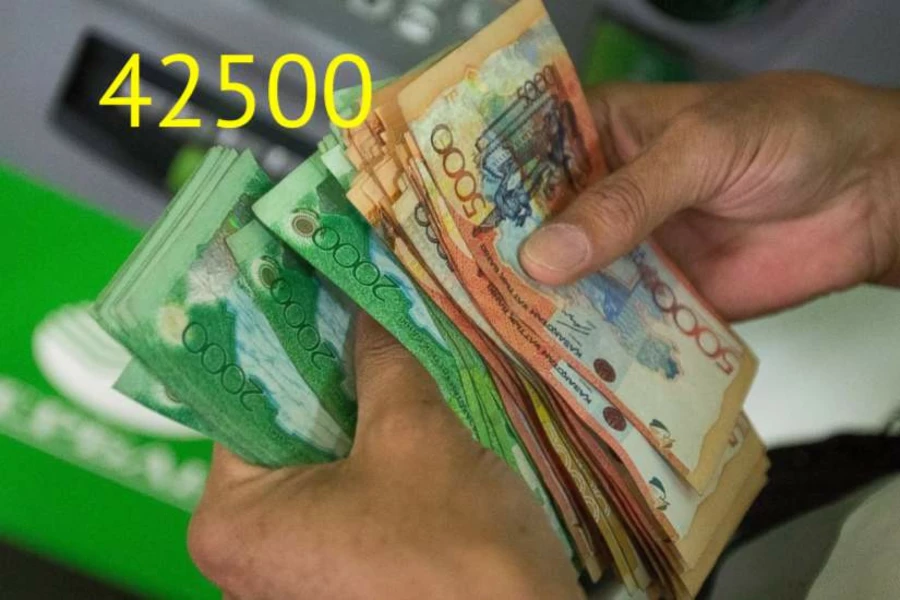 Казахстанцы подали почти 5 млн заявлений на получение 42500 